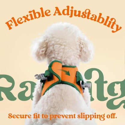 rabbitgoo Dog Harness Small Sized and Leash Set, Step in Soft Vest - Image 6