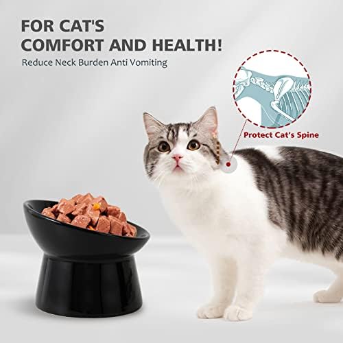 Raised Ceramic Cat Food Bowls – Tilted Elevated Anti-Vomit Cat Bowl – Whisker-Friendly Wide Shallow Feeding Dish – for Dry & Wet Food – Microwave & Dishwasher Safe - Image 3