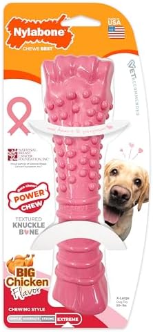 Nylabone Power Chew Breast Cancer Awareness Femur Bone Chew Toy for Dogs, Indestructible Dog Toys for Aggressive Chewers, Chicken Flavor, X-Large/Souper (1 Count) by Nylabone