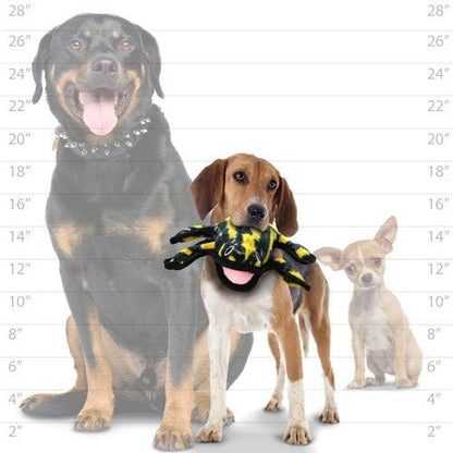 TUFFY - World's Tuffest Soft Dog Toy - Desert - Multiple Layers. Made Durable, Strong & Tough. Interactive Play (Tug, Toss & Fetch). Machine Washable & Floats (Phrog, Large 2 Pack)