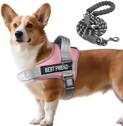 AUROTH Dog Harness and Leash Set Small Sized Dog, No Pull Escape Proof Vest by AurothPets