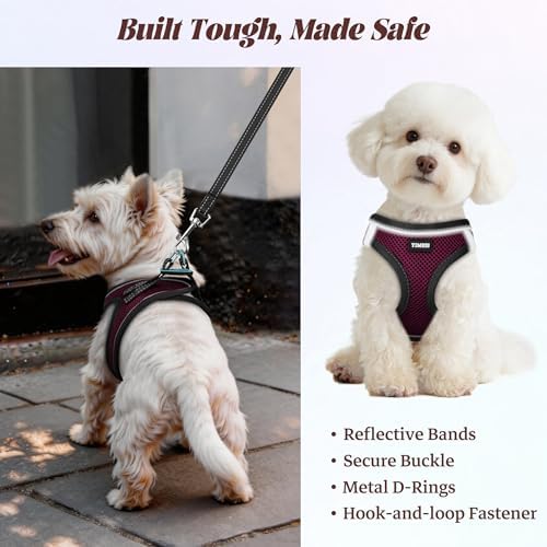 No Pull Dog Puppy Harness and Leash Set Reflective Mesh Vest Small - Image 5