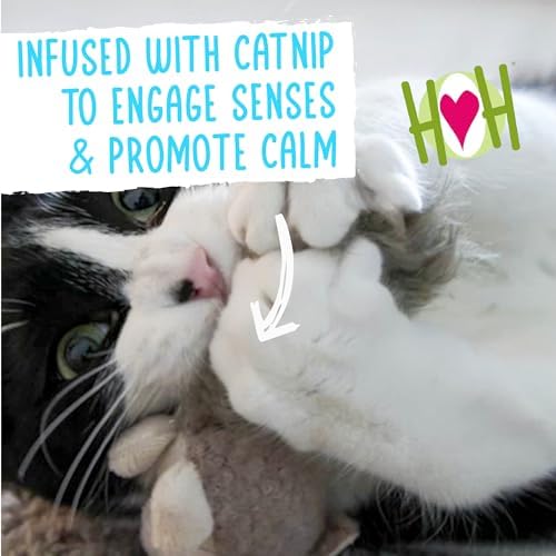 HuggleKats Cat Toys - Kitten Toys for Bored Indoor Cats, Perfect for Moving, Exercise, Biting & Chewing - Wee Fellar Squirrelie - Image 4