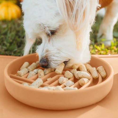 Slow Feeder Dog Bowl - Silicone Dog Bowl, Small, 6" x 1.25" - Terracotta - Image 5
