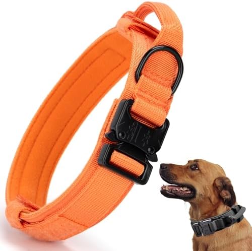 Tactical Dog Collar, Adjustable Military Training Nylon Pet Collar, Orange L by CADONO