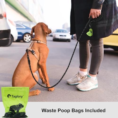 Taglory Rope Dog Leash for Small Medium Dogs, 4 FT Padded Handle, Black - Image 2