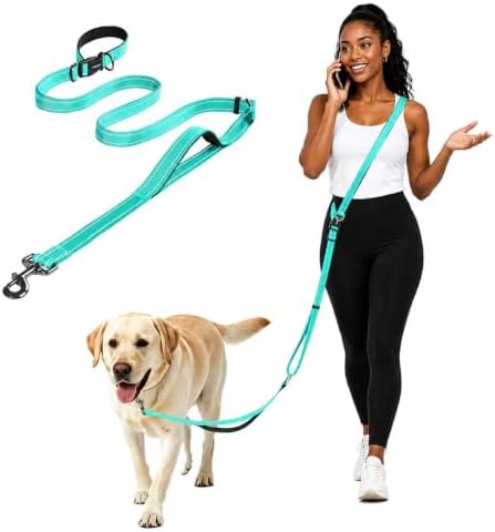 Hands Free Dog Leash by Kazazoo, Adjustable 5.5-8.5ft Waist & Crossbody Leash with Quick Off Buckle, Reflective Stitches for Walking, Jogging,Medium to Large Dogs M Size Green by Kazazoo