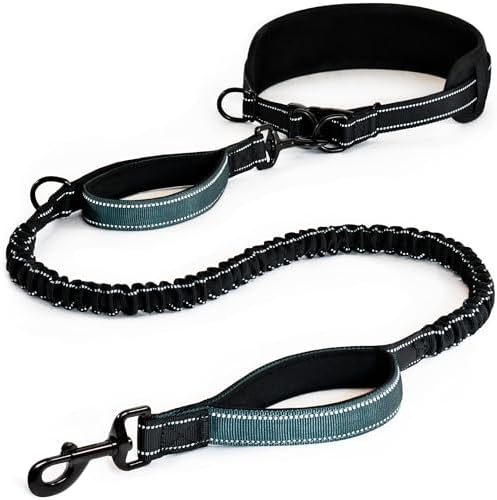 Waist Leash for Dog Walking, Waist Dog Leash for Running, Hands Free with Metal Quick-Release Buckle, Rope Bungee, Neoprene Lumbar Support by Unknown
