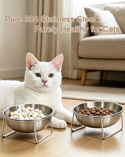 15° Tilted Cat Food Bowls 304 Stainless Steel Kitten Food Bowl Raised Food and Water Dish for Cats Elevated Cat Bowl Plate Stand Whisker Friendly Smooth Polished Easy to Clean Dishwasher Safe 2PACK - Image 2