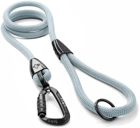 MADE TO ROAM Premium Explorer Leash - Climbing Rope Leash with Autolocking Aviation Aluminum Carabiner - Alaska Daybreak, 6ft by MADETOROAM