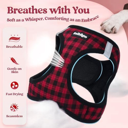 rabbitgoo Dog Harness Medium Sized and Leash Set, Step-in Puppy Pet Vest - Image 4