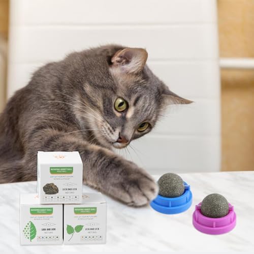 KIMOBER 6 Pack Catnip Ball for Cats,Edible Kitten Chew Toys with Catnip Silvervine Gall Fruit Flavors for Cats Lick Dental Teeth Cleaning Cats Wall Treats - Image 6