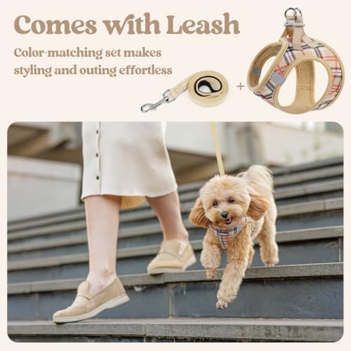 rabbitgoo Dog Harness Small Sized and Leash Set, Step-in Puppy Pet Vest - Image 6