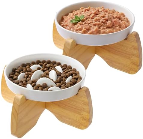 Raised Ceramic Cat Bowls 6.3" Flat & Slow Feeder Bowl (One of Each) by GUWINA