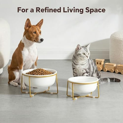 Elevated Ceramic Dog Bowl with Metal Stand - Raised Feeding Dish for Small and Medium Dogs - Ideal for Food or Water - Each Holds 600ml / 3.2 Cups (Approx. 320g) - White - Image 6