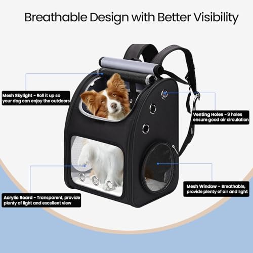 Expandable Cat Backpack Carrier for Small Cats & Pets Up to 18 lbs - Image 5