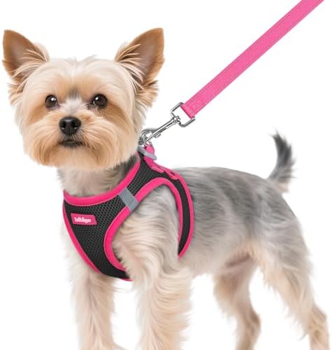 rabbitgoo Dog Harness Small Sized and Leash Set, Step in Soft Vest by rabbitgoo