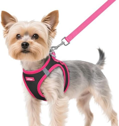 rabbitgoo Dog Harness Small Sized and Leash Set, Step in Soft Vest by rabbitgoo