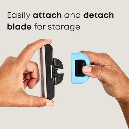 Short Hair Deshedding Brush for Dogs & Cats - Grooming Comb - Image 6