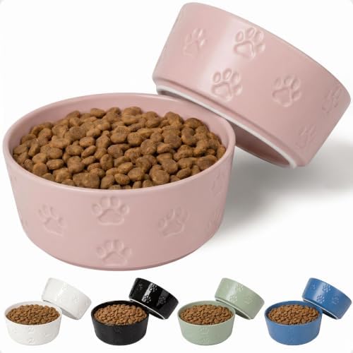 Ceramic Dog Bowl Set of 2 w/ Anti-Skid Base 6.5"W x 2.5"H, 3.8 Cup Capacity by HBDesignCo