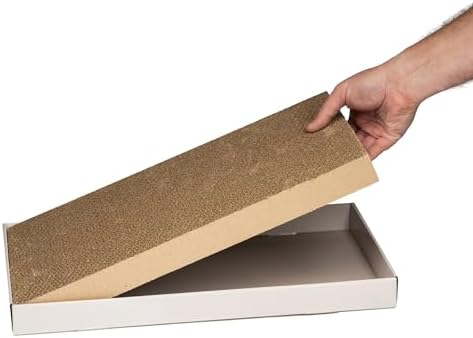 Amazon Basics Corrugated Cardboard Cat Scratcher, Scratching Board, Reversible, 17.4" x 10", White, 4-Pack - Image 3