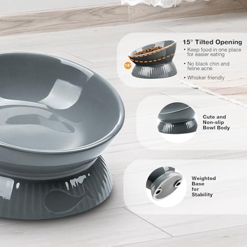 Elevated Pet Feeding and Drinking Bowls, Ceramic Tilted Cat Food Bowl, Anti Vomiting, Stress Free on Neck and Spine, Spill-Proof, Anti-Tipping, Dishwasher Safe, Raised Pet Bowls, Dry/Wet Food - Image 4