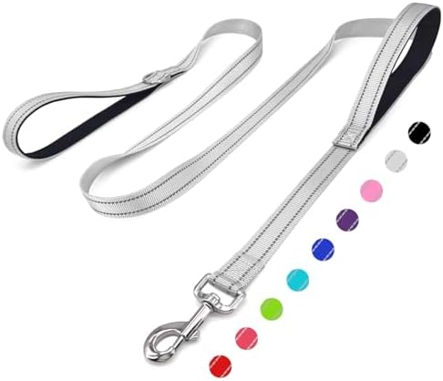 6 FT Silver Nylon Reflective Dog Leash for Large Dogs with 2 Padded Handle by Unknown