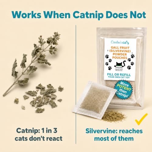 Silvervine for Cats: Stronger Than Catnip 10 Refill Pouches - Image 3