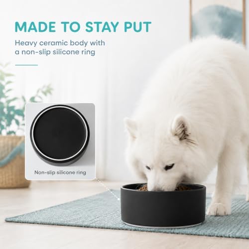 Havniva Ceramic Dog Bowls, 8.3” Dog Food and Water Bowl, Pet Feeding Bowl - Image 4