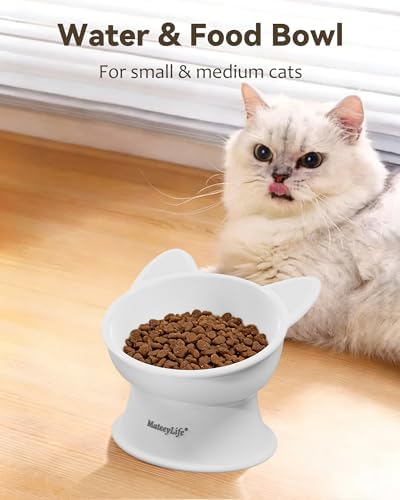 MateeyLife Raised Cat Bowls, Cat Food Bowl Elevated for Kittens & Small Dogs, 15°Tilted Protect Pets' Neck and Anti Vomiting, Whisker Friendly Food & Water Feeding Bowl, 6 oz Each - White - Image 3