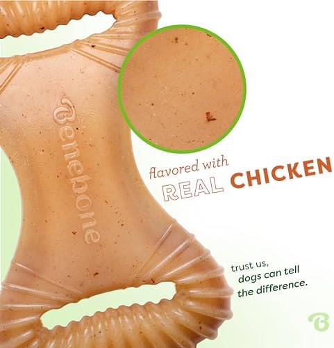 Benebone Dental Dog Chew Toy for Aggressive Chewers, Real Chicken, Small - Image 2