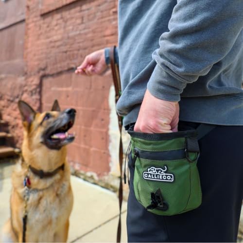 Callieco Mini Dog Treat Pouch with Magnetic & Zipper Closure | Small Waist Belt Training Behavior Aid Bag for Dog Walking with Poop Bag Dispenser (Green) - Image 2