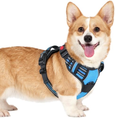rabbitgoo Dog Harness Small Sized, Updated Easy On & Off with 3 Buckles by rabbitgoo