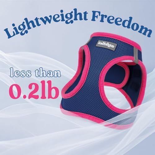 rabbitgoo Dog Harness Small Sized and Leash Set, Step in Soft Vest - Image 7