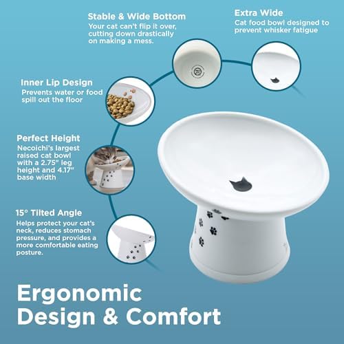 Necoichi Ceramic Elevated Cat Food Bowl, 15° Tilted (Cat, Extra Wide Tilted) - Image 5