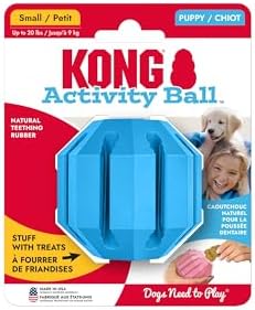 KONG Puppy Activity Ball, Natural Rubber Teething Toy, Small Puppies, Blue by KONG