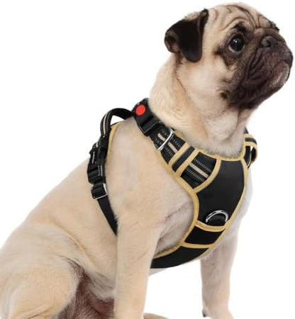 rabbitgoo Dog Harness Small Sized, No Pull 3 Buckles Easy On & Off by rabbitgoo