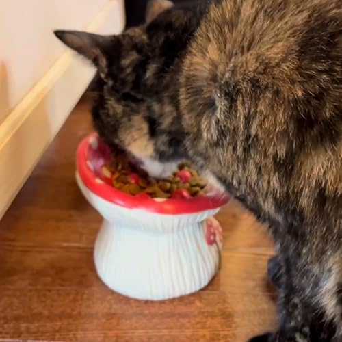 Elevated Ceramic Cat Bowls for Food & Water, Red Mushroom Cats Bowl with protruding Feet, Raised Height for Cats, Whisker Fatigue Shallow Food Dish - Image 6