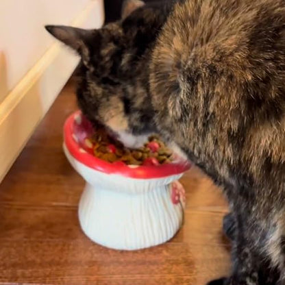 Elevated Ceramic Cat Bowls for Food & Water, Red Mushroom Cats Bowl with protruding Feet, Raised Height for Cats, Whisker Fatigue Shallow Food Dish - Image 6