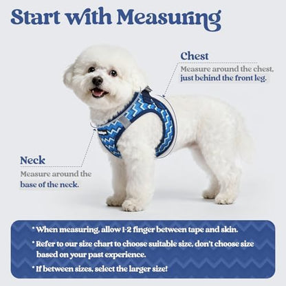 rabbitgoo Dog Harness Small Sized and Leash Set, Step-in Puppy Pet Vest - Image 2