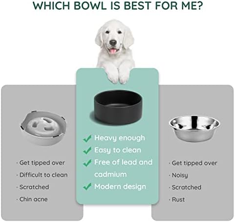 SPUNKYJUNKY 13.5OZ Ceramic Dog and Cat Bowl, Modern Cute Weighted Food Water Bowl for Replacement Black (1 Pack) - Image 4