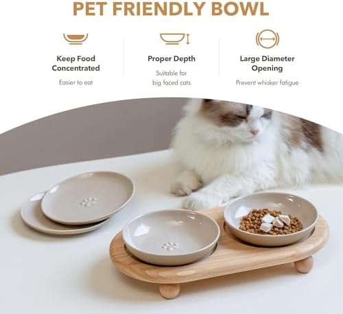 Havniva Elevated Cat Bowls, Cat Food and Water Bowl Set, Ceramic Cat Bowl - Image 5