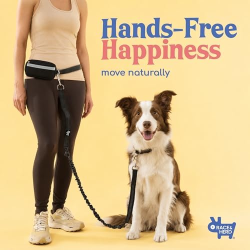 Race&Herd Dog Running Leash Hands Free — 68" Bungee Waist Belt (Onyx) - Image 2