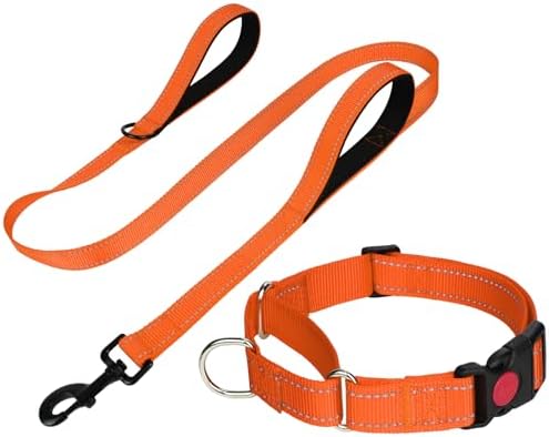 FunTags Martingale Dog Collar and Leash Set for Small Dogs, Locking Buckle by FUNSTARTSHERE