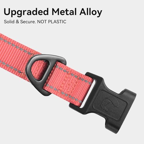 Joytale Reflective Dog Collar, Adjustable Neoprene Padded, Neon Pink M - Image 3