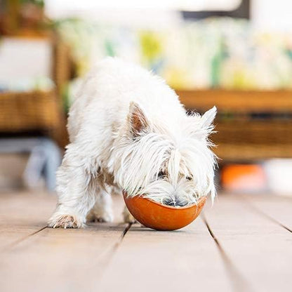 LickiMat Wobble, Dog Slow Feeder Bowl Lick Mat, Boredom Anxiety Reducer; Perfect for Food, Treats, Yogurt, or Peanut Butter. Fun Alternative to a Slow Feed Dog Bowl, Orange - Image 2