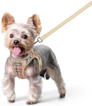 rabbitgoo Dog Harness Small Sized and Leash Set, Step-in Puppy Pet Vest by rabbitgoo