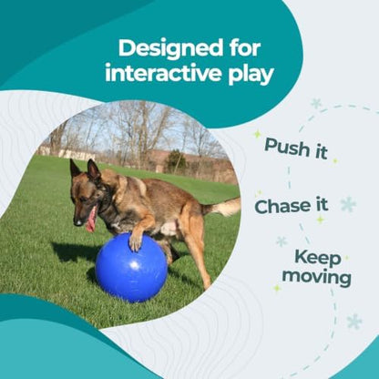 Jolly Pets Push-n-Play Ball Dog Toy, 10 Inches/Large, Blue - Image 3
