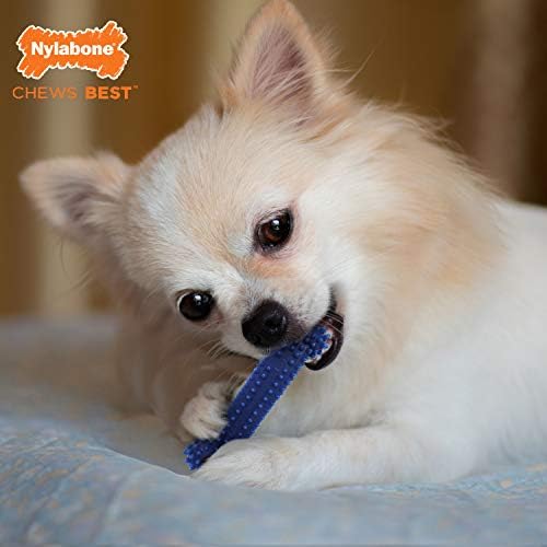 Nylabone Flexi Chew Small Dog Value Pack Dog Toys with Chew Treat, 3 Count - Image 6