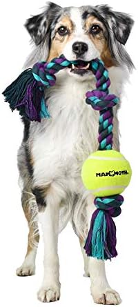 Mammoth Flossy Chews Color 3 Knot Tug w/Standard Tennis Ball – Premium Cotton-Poly Tug Toy for Dogs, Interactive Rope Dog Toy for Medium Dogs - 20” , Multi color - Image 3